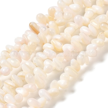 Brins de perles d'eau douce naturelles SHEL-K006-36-1