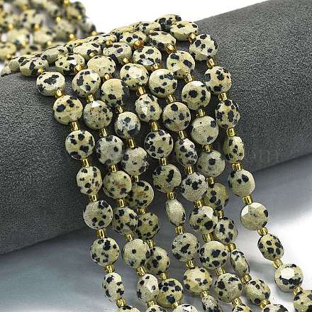 Природные яшмы далматин бисер нитей G-C116-A31-02-1