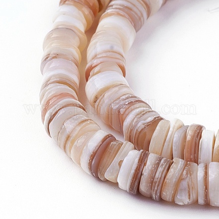Chapelets de perles de coquillage SSHEL-E571-49D-1