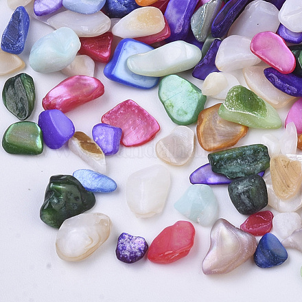 Perles de coquillages naturels d'eau douce SHEL-N003-03-1
