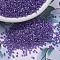 MIYUKI Delica Beads, Cylinder, Japanese Seed Beads, 11/0, (DB0906) Sparkling Purple Lined Crystal, 1.3x1.6mm, Hole: 0.8mm, about 10000pcs/bag, 50g/bag