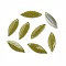 Plastic Pendants, Leaf, Olive, 19.5x7x2mm, Hole: 1mm