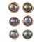 Flat Round Natural Cultured Freshwater Pearl Stud Earrings, with 304 Stainless Steel Earring Findings, Golden, 10~11mm