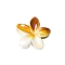 Resin Claw Hair Clips, Hair Accessories for Women & Girls, Flower, Gold, 80x35mm