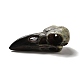 カラス カラス 鳥 頭蓋骨 樹脂 ホーム ディスプレイ 装飾  ブラック  60x28x21mm  穴：4mm RESI-A018-01A-4