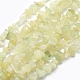 Chapelets de perles en jade naturelle nouvelle G-P332-17-1