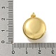 Подвески в виде медальонов из латуни с кубическим цирконием X-KK-N254-93D-G-3