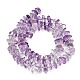 Natürlichen Amethyst Perlen Stränge&nbsp;G-Z124-A01-02-3