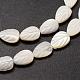 Chapelets de perles de coquille de trochid / trochus coquille SSHEL-K015-04-3