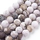 Fili di perline pietrificati in america naturale G-P430-03-E-2