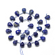 Chapelets de perles en lapis-lazuli naturel G-R435-15D-2