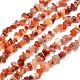 Natural South Red Agate Chips Bead Strands X-G-M205-40-1