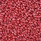 Perles de rocaille en verre SEED-A012-4mm-125B-2