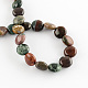 Natural Indian Agate Stone Bead Strands G-R189-11-2