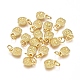 Electroplated Alloy Charms PALLOY-G267-12G-1