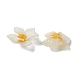 不透明樹脂ビーズキャップ  マルチ花弁  花  ホワイト  22.8x20x9mm  穴：1mm RESI-L035-18-2