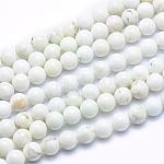 Natural Magnesite Beads Strands, Round, 6mm, Hole: 1mm, about 64pcs/strand, about 15 inch
