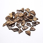 Perles de noix de coco de puces teints, chameau, 14~31x8~13x2~4mm, Trou: 1.5~2mm, environ 882 pcs/500 g