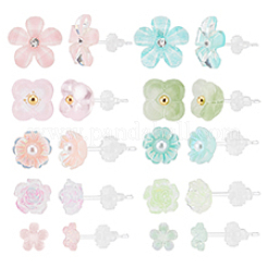 12 пара сережек-гвоздиков из смолы 12 стилей&nbsp;EJEW-PH0001-31