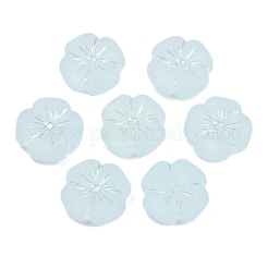 Матовые прозрачные акриловые бусины&nbsp;X1-OACR-P029-19B-06