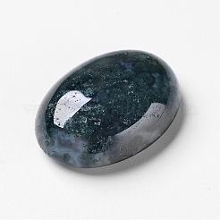 Природные моховой агат кабошонов G-F296-09-18x25mm