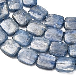 Натуральный кианитовые бисер пряди&nbsp;G-H335-I01-10x12mm