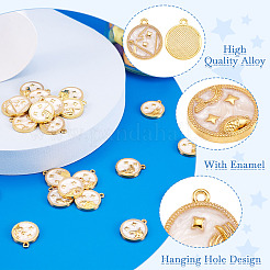 24шт 12 стиля подвески из сплава с эмалью&nbsp;ENAM-TA0002-58