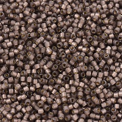 Perles miyuki delica&nbsp;X-SEED-J020-DB2184