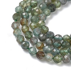 Естественный зеленый апатит бисер пряди&nbsp;G-L651-C08-4mm