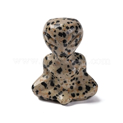 Украшения из натурального далматинского яшмы&nbsp;DJEW-P019-E02