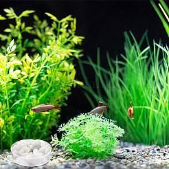 8 個 2 スタイル透明アクリル水族館エビ餌皿  小魚の餌入れ  フラットラウンド  透明  66~86x20mm  4個/スタイル&nbsp;AJEW-GO0001-01
