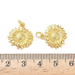 Латунные подвески&nbsp;LS-KK-I381-02G