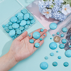 84 шт. 7 стиля синтетических бирюзовых кабошонов&nbsp;TURQ-PH0001-13