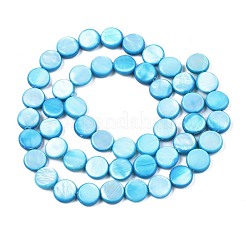 Shell perle d'acqua dolce fili&nbsp;SHEL-T009-B16-05
