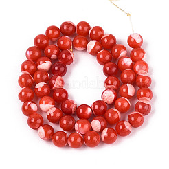 Нити бусин из натуральных перламутровых ракушек-трохусов SSHEL-T012-06