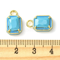 Подвески из латуни с эмалью в стойку&nbsp;KK-G501-17G