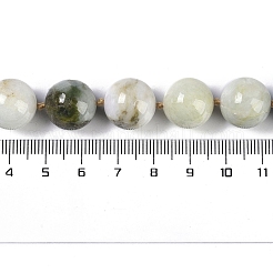 Натуральные бусины Jabe G-Q164-G04-01