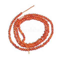 Бусы из циркония&nbsp;G-G792-47-02A