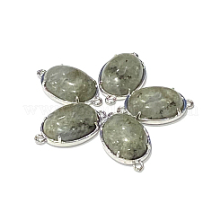 Латунные соединители из натурального лабрадорита&nbsp;G-E398-04Q