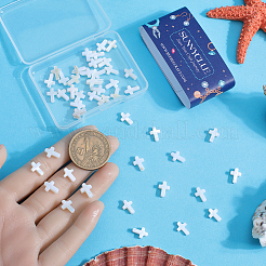 60шт натуральные пресноводные бусины из ракушек BSHE-SC0001-17