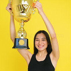 Пластиковые самоклеящиеся наклейки с тиснением из золотой фольги&nbsp;DIY-WH0211-146