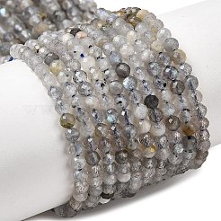 Природные лабрадорита бисер нитей G-RM250104-E8