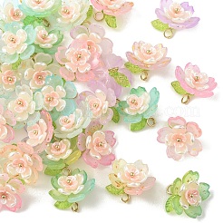 50шт 5 цвета акриловые подвески&nbsp;PALLOY-YW00127