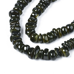 Fili di perle di conchiglia trochid naturale / trochus&nbsp;SHEL-S258-081-B01