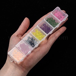 Пластиковые бисера контейнеры X-C021Y