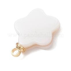 5 шт. 5 варианта подвесок из натуральных ракушек с латунными креплениями&nbsp;PALLOY-JF04892