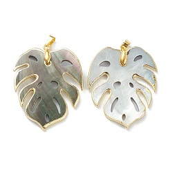 Оболочки губ натуральный черный подвески&nbsp;SSHEL-L019-13G