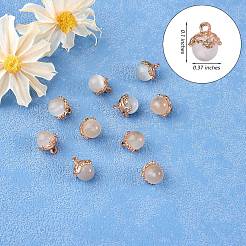 10 Stück Edelstein-Charm-Anhänger&nbsp;JX599A