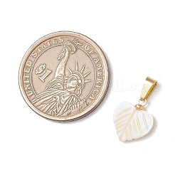 Природные подвески оболочки пресноводных&nbsp;PALLOY-JF05136