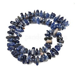 Perline sodalite naturale fili&nbsp;GG-CBA3A44-B12-01